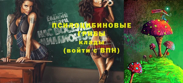 прущие крисы Вязьма