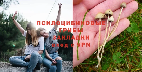 прущие крисы Вяземский