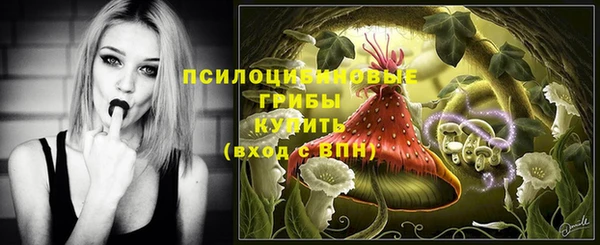 прущие крисы Вяземский