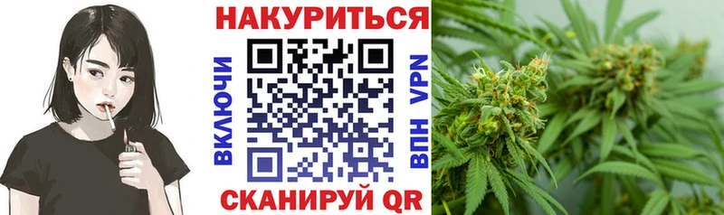 OMG ONION  купить наркоту  Подпорожье  Каннабис индика 